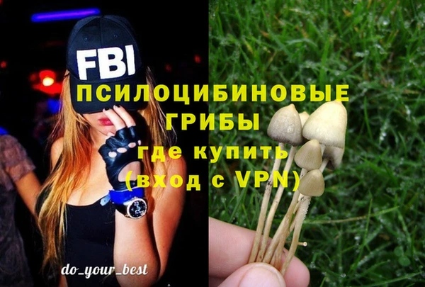 первитин Лиски