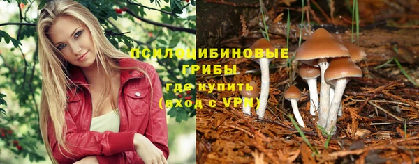 первитин Лиски