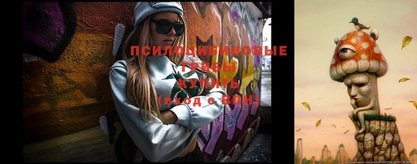 первитин Лиски