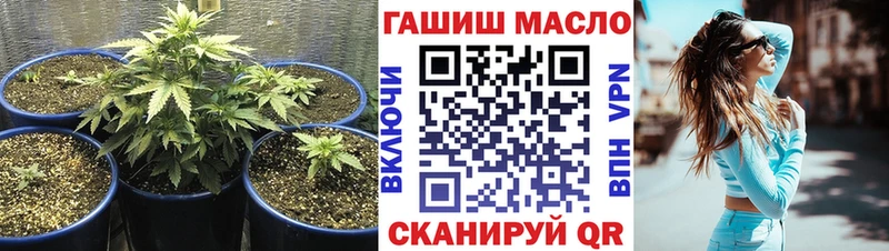 mega сайт  Ершов  ТГК Wax 