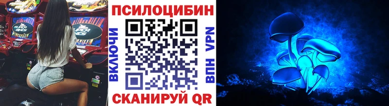 где можно купить   Ершов  Галлюциногенные грибы Magic Shrooms 